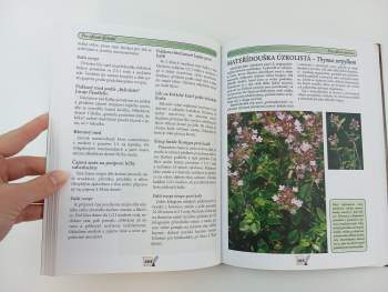 Dionýz Dugas: 500 nejlepších receptů lidové medicíny