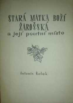 Stará Matka Boží žarošská a její poutní místo