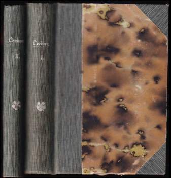 Anton Pavlovič Čechov: Nudná historie