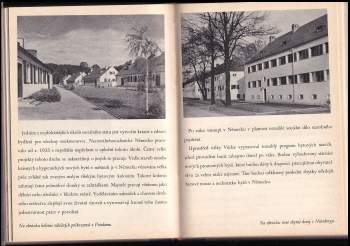 Joseph Goebbels: 6 děl v 1 svazku : Spolužití Čechů a Němců + Projev říšského ministra propagandy Dr. Goebbelse k českým kulturním pracovníkům v Berlíně 11. září 1940 + Mírové dílo Adolfa Hitlera + Dva projevy + Čechy a Morava v říši + Nový hospodářský obraz světa