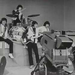 The Tremeloes