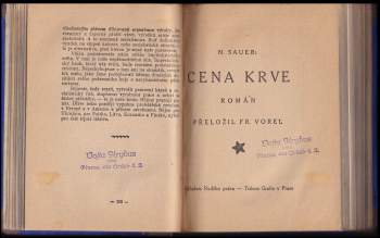 Josef Patočka: Ideály umělecké výchovy a půda české skutečnosti