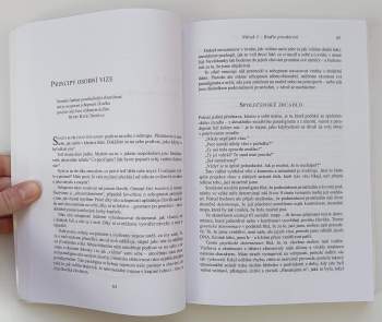 7 návyků skutečně efektivních lidí : zásady osobního rozvoje, které změní váš život