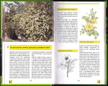 Vilém Walter: 88 rad pěstitelům růží