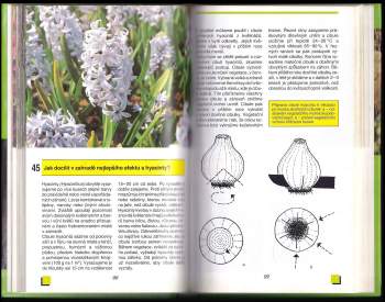 Radoslav Šrot: 88 rad pěstitelům zeleniny