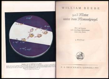 William Beebe: 923 Meter unter dem Meeresspiegel