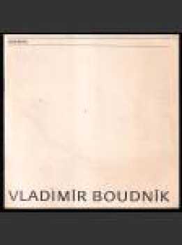Vladimír Boudník