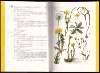 Dietmar Aichele: A field guide in colour to wild flowers