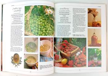 Judith Irwin: A step by step guide to making home made wine