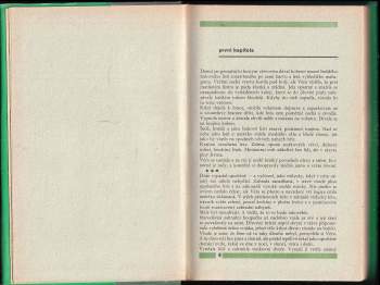 Jenny Berthelius: Abeceda hrůzy - Abeceda strachu