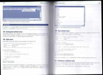 Bernd Held: Access VBA