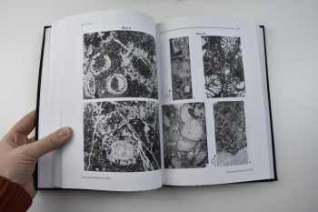 Acta Geologica Hungarica, volume  41-45