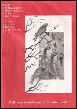 Adolf Hoffmeister - Dobrodružství malého námořníčka