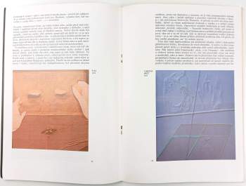 Jaromír Zemina: Adriena Šimotová