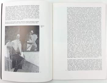 Jaromír Zemina: Adriena Šimotová