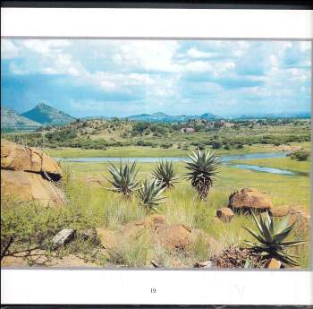 Zdeněk Skořepa: Afrika