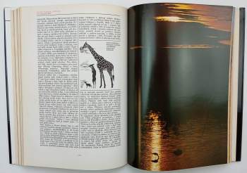 Josef Vágner: Afrika