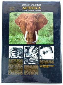 Afrika
