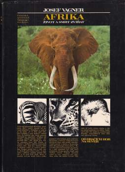 Afrika