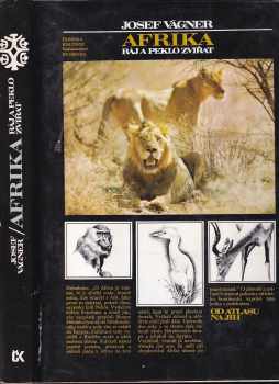 Afrika
