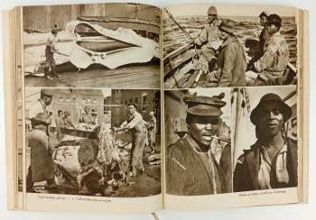 Miroslav Zikmund: Afrika snů a skutečnosti