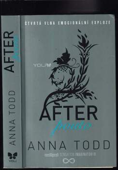 Anna Todd: After