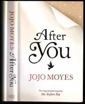 Jojo Moyes: After you