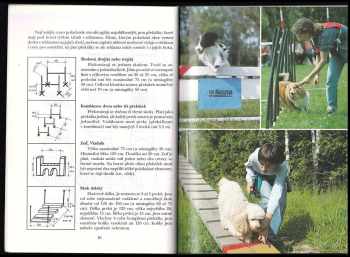 Radko Loučka: Agility pro každého psa