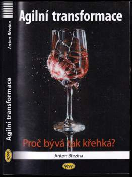 Anton Březina: Agilní transformace