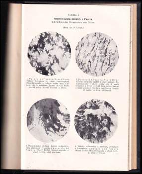 Jaroslav Spirhanzl-Duriš: Agronomicko-pedologická studie o jihočeských půdách rulových