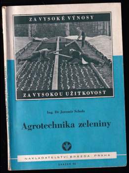 Agrotechnika zeleniny