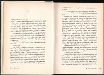 Erica Fischer: Aimée & Jaguár