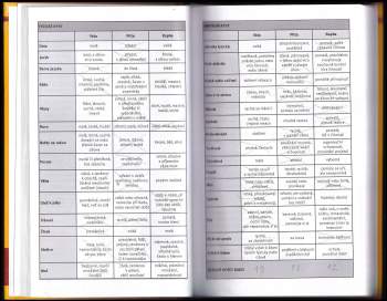 David Frej: Ájurvéda