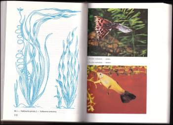 Karel Polák: Akvaristika