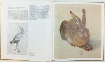 Kuno Mittelstädt: Albrecht Dürer