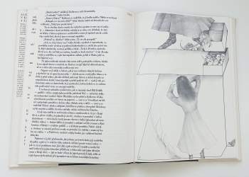 Lewis Carroll: Alenka v kraji divů a za zrcadlem