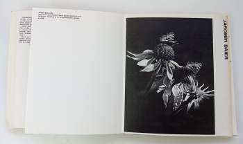 Almanach fotografů Trutnovska