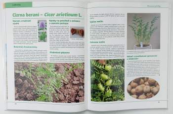 Jan Moudrý: Alternativní plodiny