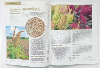 Jan Moudrý: Alternativní plodiny