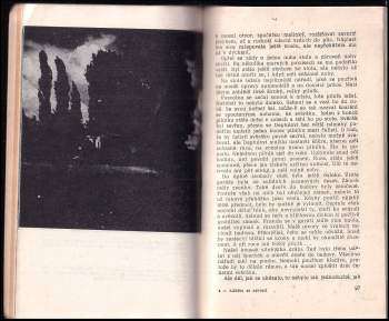 Jerzy Edigey: Alžběta se nevrací