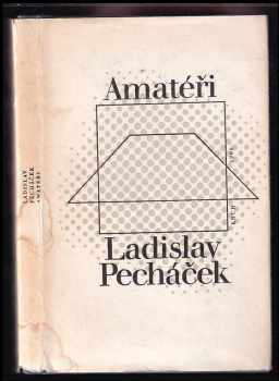 Ladislav Pecháček: Amatéři : Jak přichází svět o básníky