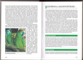 Rosemary Low: Amazoňané