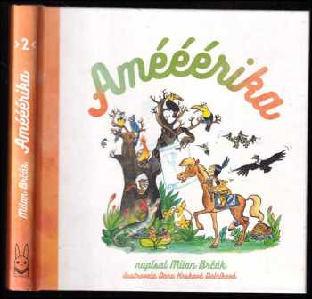 Amééérika