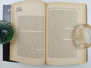 Bret Easton Ellis: Americké psycho