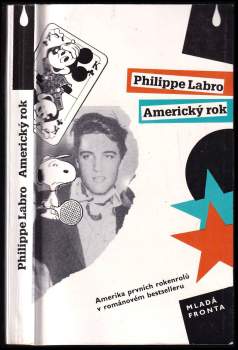 Americký rok