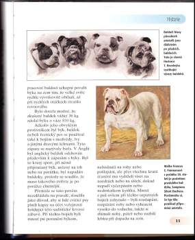 Joseph Janish: Americký stafordšírský teriér