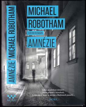 Michael Robotham: Amnézie