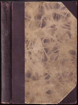 Walter Heichen: Amulet tisíce divů