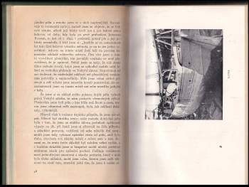 Roald Amundsen: Amundsen objevitel