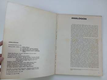 Analogon